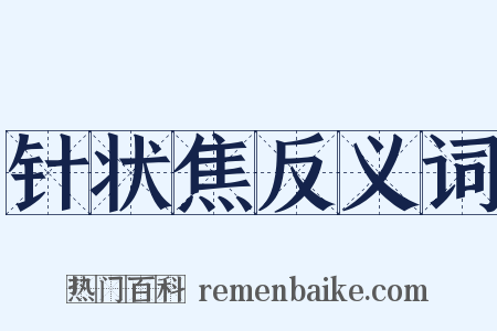 针状焦反义词是什么意思的图片